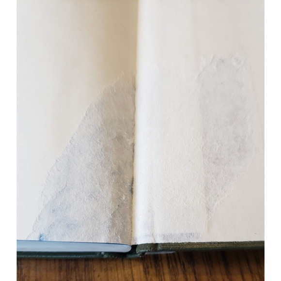 EARTHFIRE: THE ERUPTION OF MOUNT ST. HELENS By Charles Rosenfeld & Robert Cooke - Picture 9 of 10